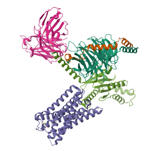 Is Lsd Rcbd Same RCSB PDB - 9BSB: Global reconstruction of DRD2 bound to LSD in complex ...