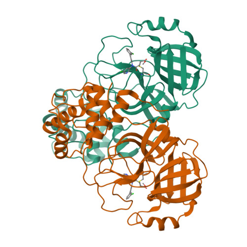 RCSB PDB - 9BSP: Structure of the SARS-CoV-2 main protease in complex ...