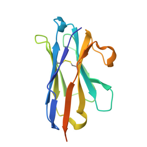 RCSB PDB - 9BSV: EBOV GP/Nanosota-EB2 complex