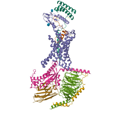 RCSB PDB