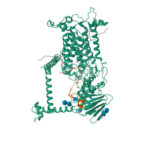 PDB 9BVP