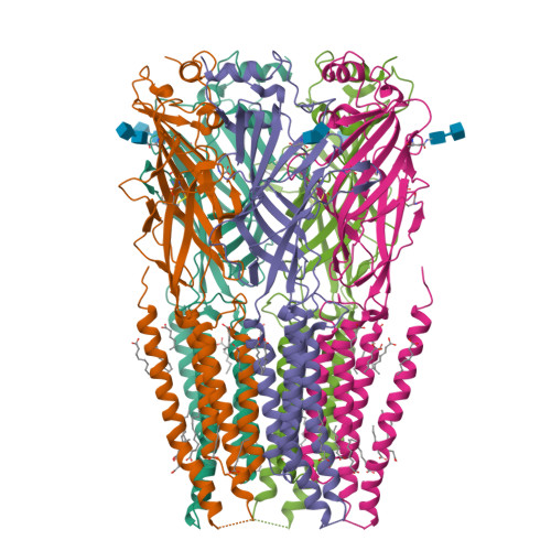 RCSB PDB - 9BWE: Homomeric alpha3 glycine receptor in the presence of 0 ...