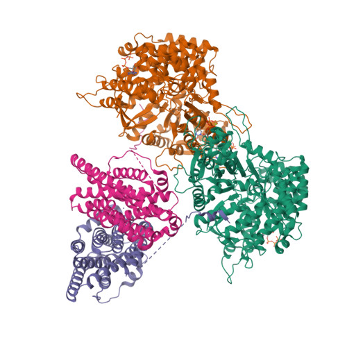 RCSB PDB - 9BX2: Class 2 model for preturnover condition of Bacillus ...