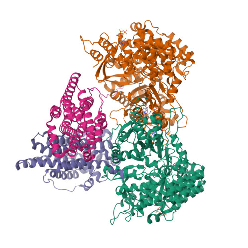 RCSB PDB - 9BX8: Class 12 model for preturnover condition of Bacillus ...