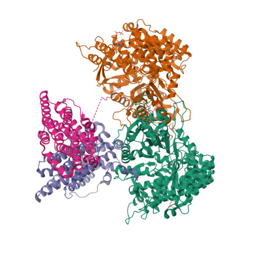 RCSB PDB - 9BX9: Class 15 model for preturnover condition of Bacillus ...