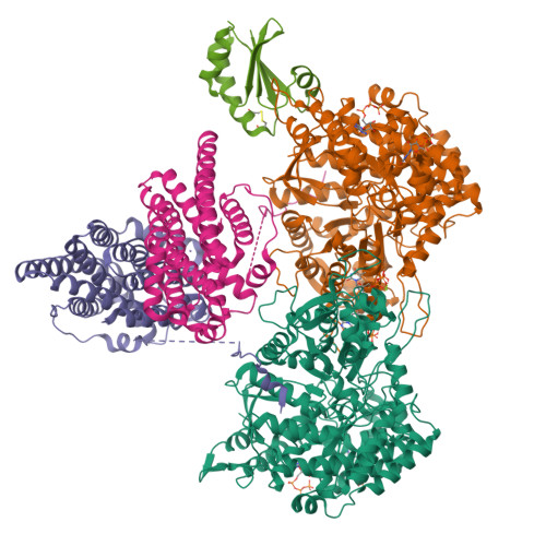 RCSB PDB - 9BYL: Consensus full-complex model for turnover condition of ...