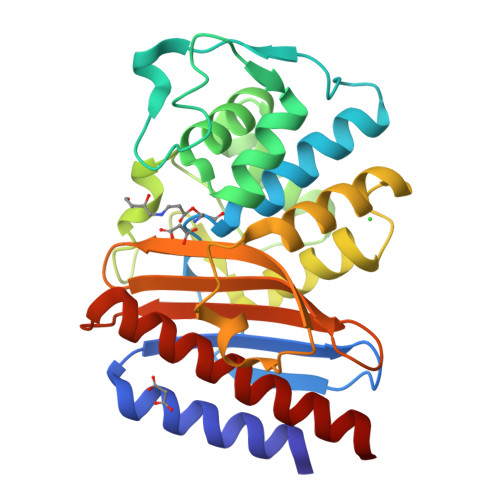 RCSB PDB - 9BZR: Structure of Class A Beta-lactamase from Bordetella ...