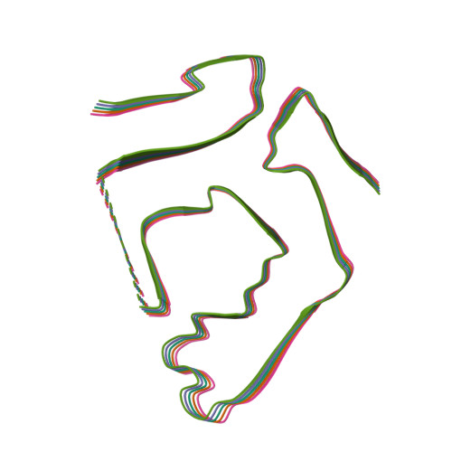 RCSB PDB - 9BZS: Cryo-EM structure of cardiac amyloid fibril from a ...