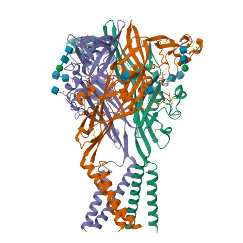 RCSB PDB - 9C2B: Cryo-EM structure of the human P2X1 receptor in the ...