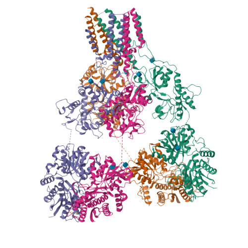 RCSB PDB - 9C60: CryoEM structure of kainate receptor Gluk2 in apo state