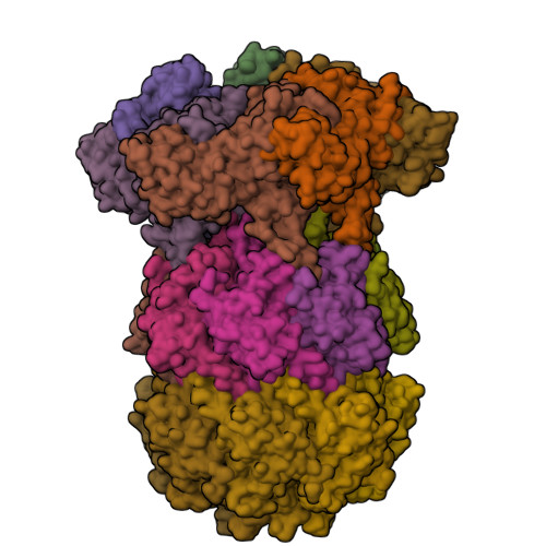 RCSB PDB - 9C88: Cryo-EM Structure of a Proteolytic ClpXP AAA+ Machine ...