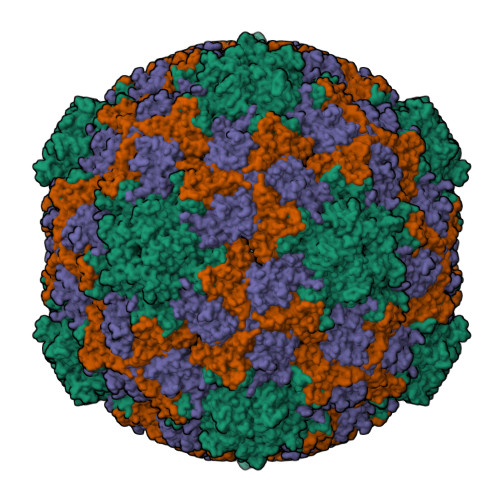 RCSB PDB - 9C8H: Cryo-EM Structure of EV-D68 A2 A-Particle