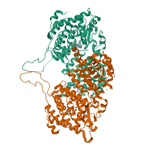 RCSB PDB - 9C93: Crystal structure of menin in complex with