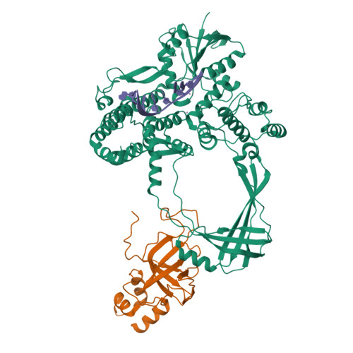 RCSB PDB - 9C9Y: Human TOP3B-TDRD3 core complex in DNA pre-cleavage state