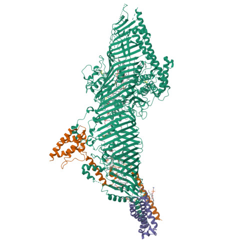 RCSB PDB - 9CAP: Structure of the LPD-3 complex