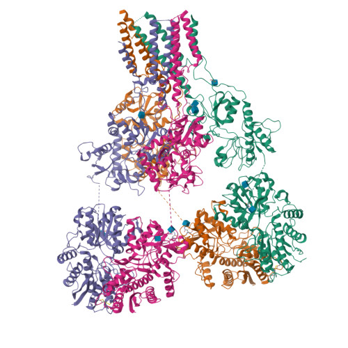 RCSB PDB - 9CAZ: Structure of kainate receptor Gluk2 in apo state