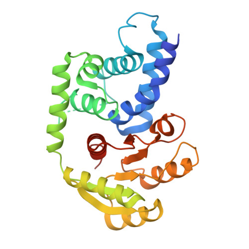 RCSB PDB - 9CB6: Crystal Structure of RT-PhyR (ruthe_02744)