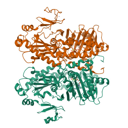 Dead Structure RCSB PDB - 9CDG: MORC2 ATPase dead mutant - S87A