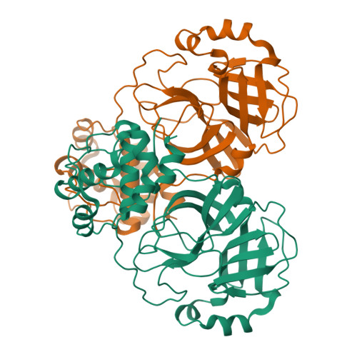 Structural basis for varying drug resistance of SARS-CoV-2 M<sup>pro</sup> E166 variants.