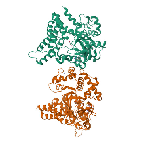 RCSB PDB - 9CKF: Crystal structure of SMYD2 secondary binding site mutant