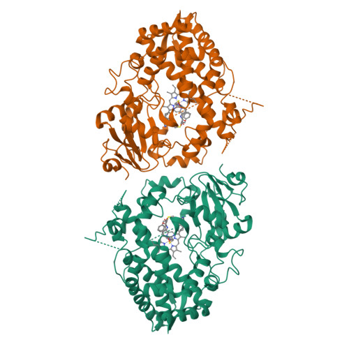 RCSB PDB - 9COV: Crystal structure of CYP3A4 bound to an inhibitor