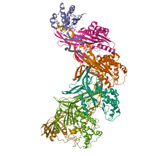 RCSB PDB - 9CP3: Post-targeting aCascade Type IA CRISPR-Cas ...