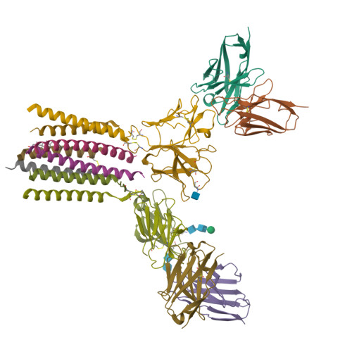 RCSB PDB - 9CQ4: G115 gamma delta TCR/CD3 complex bound by OKT3 Fab