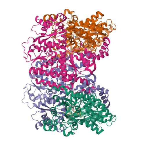 RCSB PDB - 9CQY: Azotobacter vinelandii Oxidized MoFeP (C2 symmetry ...