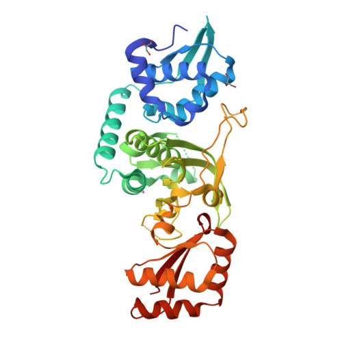 RCSB PDB - 9CRN: Crystal structure of Streptococcus pyogenes TglA