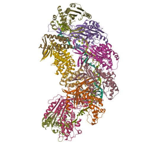 rcsb pdb - 6pt7: structure of kate1 catalase from... RCSB PDB - 9CRP: Post-targeting aCascade Type IA CRISPR-Cas ...