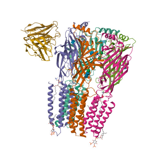 RCSB PDB - 9CTP: Native human GABAA receptor of beta2-alpha1-beta2