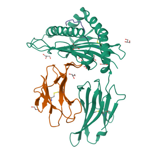 HLA micropolymorphisms confine neoantigen conformational adaptability and guide T cell receptor selectivity.