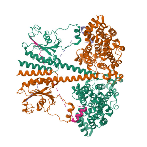 RCSB PDB - 9CXJ: Structure of PDE6C in complex with the rod