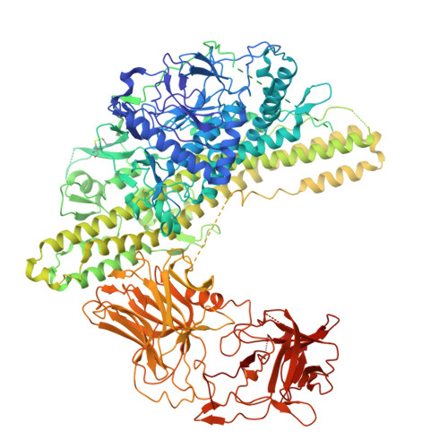 Structure 9CZB