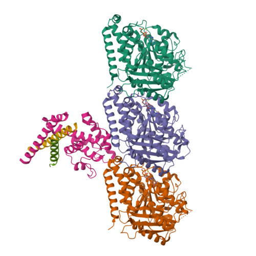 RCSB PDB - 9D2B: Symmetry-expanded reconstruction of augmin T-II bonsai ...