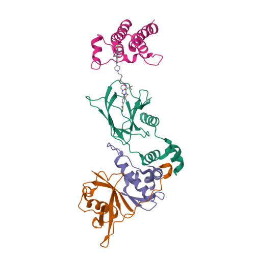 RCSB PDB - 9D4B: Discovery of SMD-3236, a Potent, Highly Selective and ...