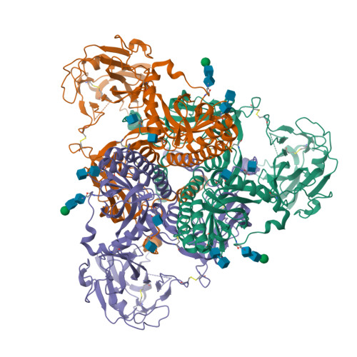 RCSB PDB - 9DDA: Cryo-EM structure of gB-Ecto.516P.531E.DS