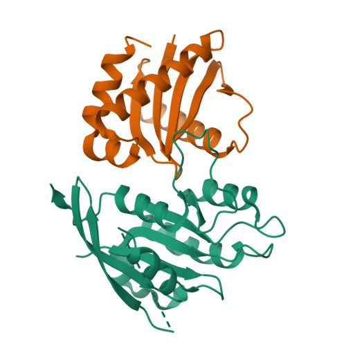 RCSB PDB - 9DDT: AAGAB pseudoGTPase domain in complex with AP-1 ...