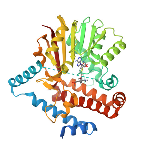 RCSB PDB - 9DG7: Tetrahydroprotoberberine N-methyltransferase E204A ...