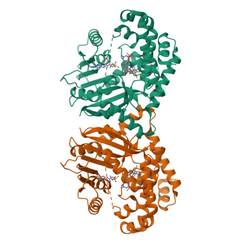 RCSB PDB - 9DGA: Tetrahydroprotoberberine N-methyltransferase in ...