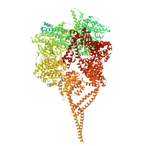 RCSB PDB - 9DH5: State-1 of the motor domain from full-length human ...