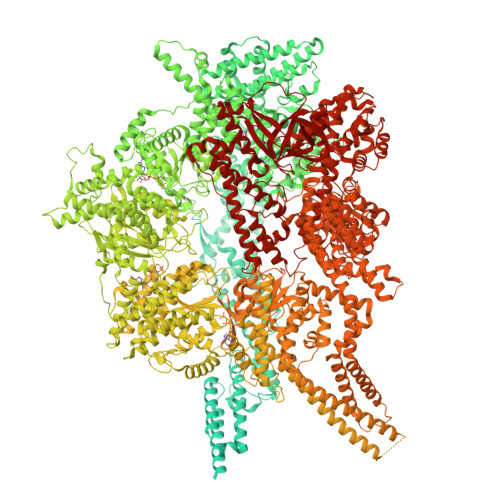 RCSB PDB - 9DHA: State-7-Post-1 of the motor domain from full-length ...