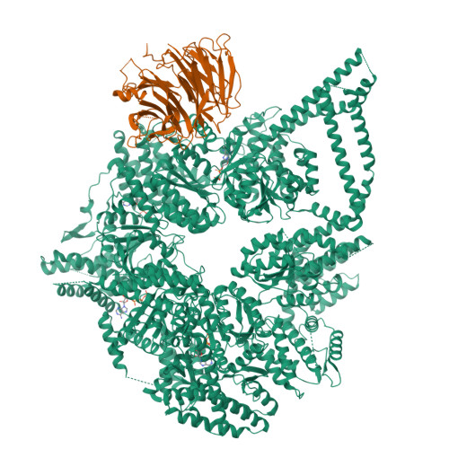 RCSB PDB - 9DN5: CryoEM structures of yeast cytoplasmic dynein in the ...