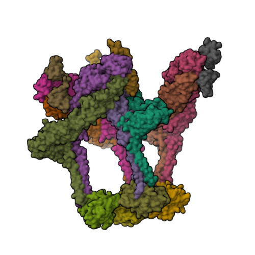 RCSB PDB - 9DQZ: Structure of western equine encephalitis virus ...