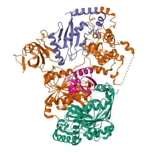 RCSB PDB - 9DRJ: Cryo-EM structure of a SUMO E1-E2-SUMO1 complex.