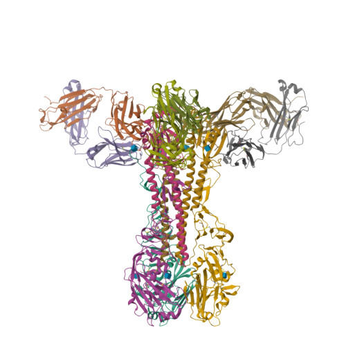 RCSB PDB - 9DRU: Crystal structure of 04709_4F04 Fab in complex