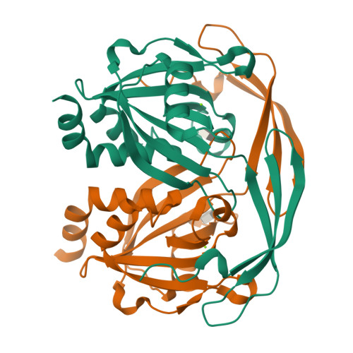 RCSB PDB - 9DT7: Crystal structure of ADP-ribose diphosphatase from ...