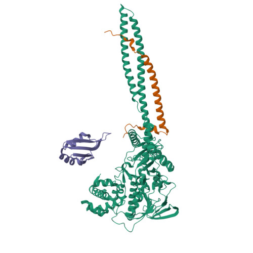RCSB PDB - 9DWU: CoREST complex bound to U2AF2