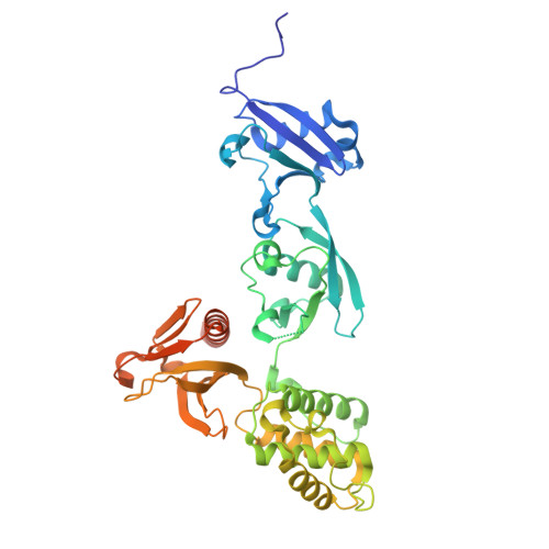 RCSB PDB - 9DZ5: Crystal structure of integrin beta-2 tail bound to the ...