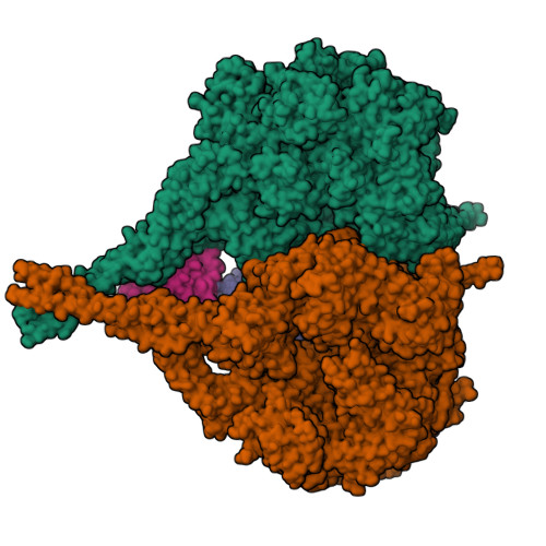 RCSB PDB - 9DZY: Cryo-EM structure of Pre-Chi dynein bound to Lis1